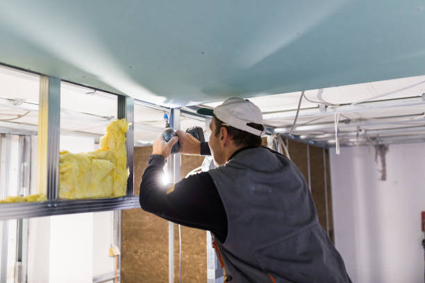 Best Spray Foam Insulation  in Leadville North, CO