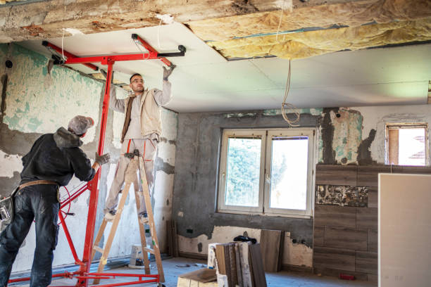 Best Insulation Inspection Services  in Leadville North, CO